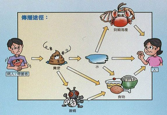 C:\Users\user\Desktop\图片2.png