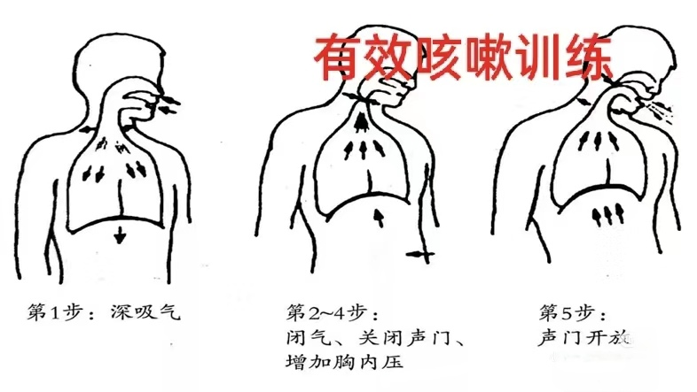图片 5.png